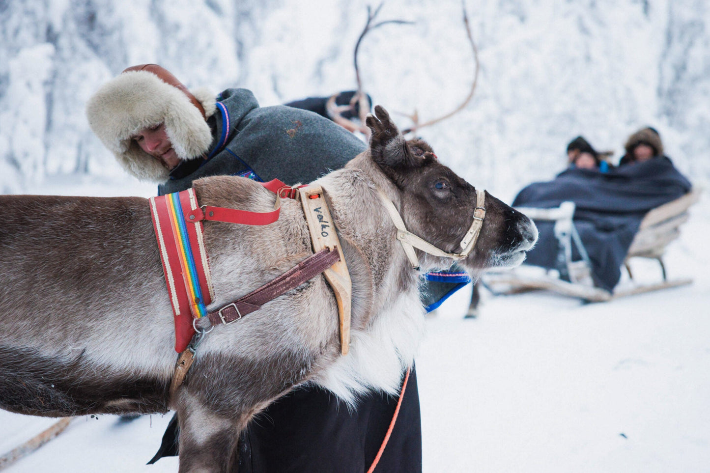 HÀNH TRÌNH 5 NGÀY KHÁM PHÁ LÀNG ÔNG GIÀ NOEL TẠI ROVANIEMI, LAPLAND PHẦN LAN