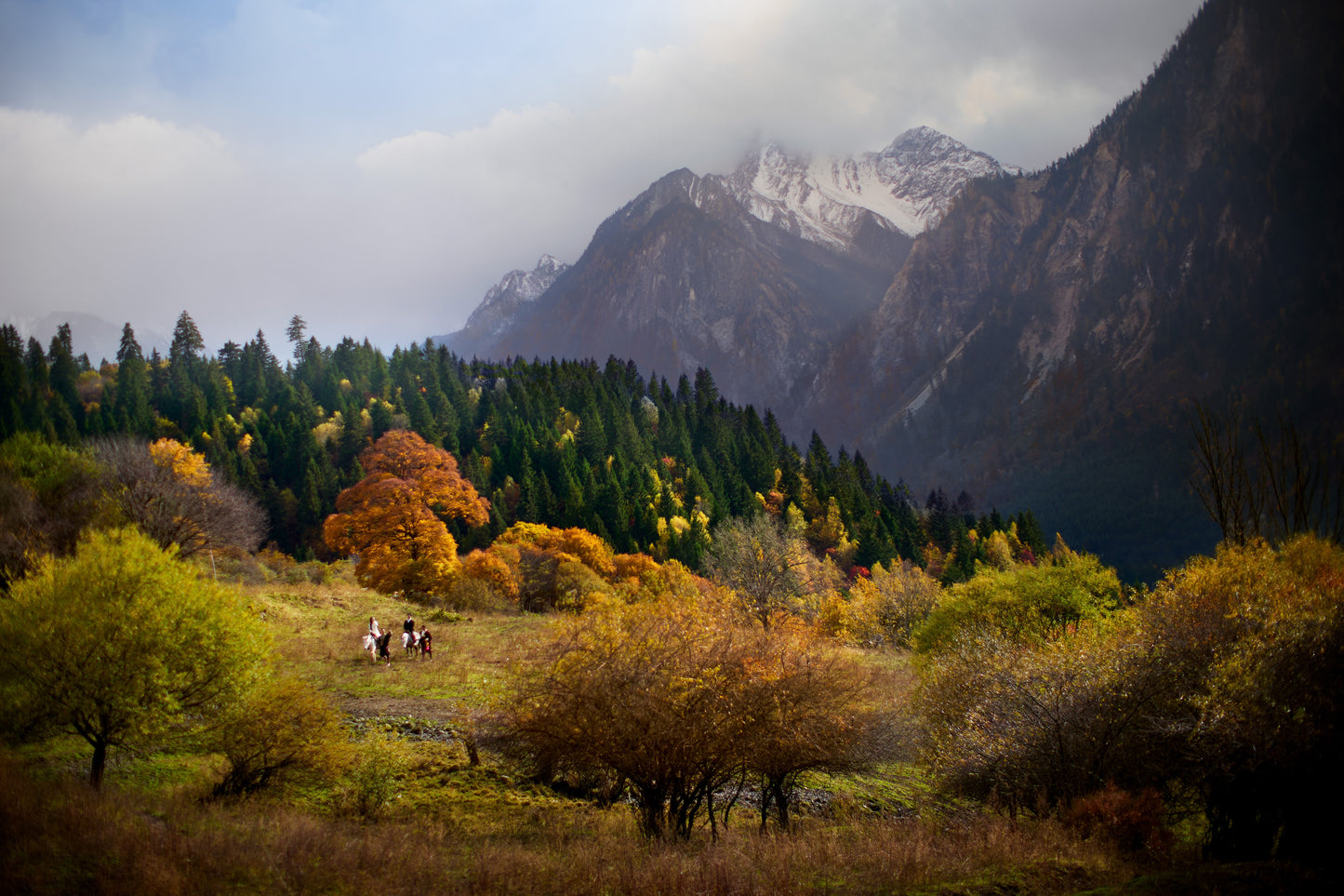 7-DAY JOURNEY TO DISCOVER CHENGDU & JIUZHAIGOU
