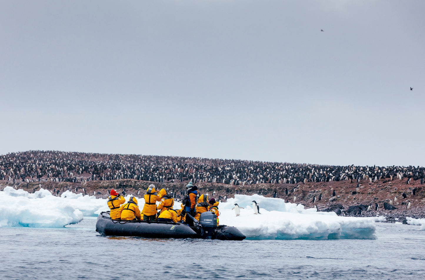 HÀNH TRÌNH KHÁM PHÁ NAM CỰC ANTARTIC EXPRESS: FLY SOUTH, SAIL NORTH - OCEAN EXPLORER, WORLD VOYAGER