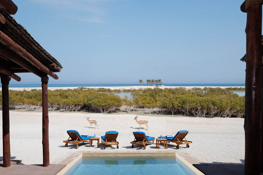 HÀNH TRÌNH 5 NGÀY TẠI DUBAI & ABU DHABI - ANANTARA SIR BANI YAS ISLAND (AL YAMM RESORT | AL SAHEL VILLA RESORT | DESERT ISLANDS RESORT)