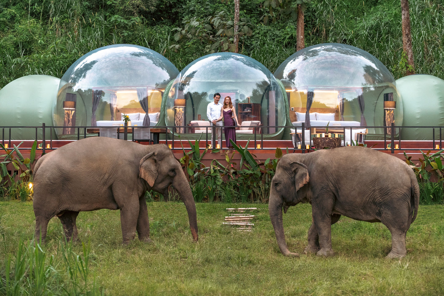 ANANTARA GOLDEN TRIANGLE ELEPHANT CAMP & RESORT | ANANTARA JOURNEYS OFFERS and LUXURY AMENITIES