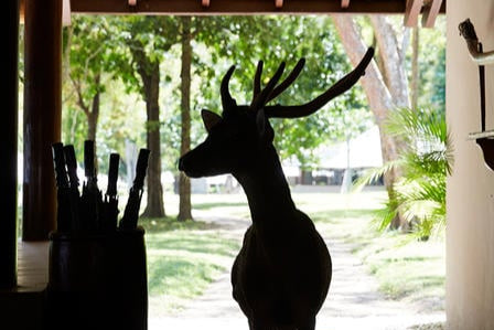 AMANWANA, MOYO ISLAND | EXCLUSIVE OFFERS