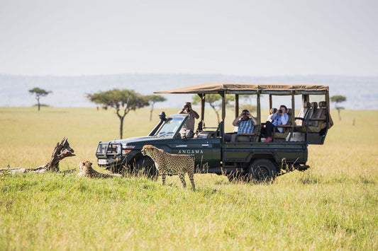ANGAMA LUXURY SAFARI | 8 NGÀY KHÁM PHÁ KENYA | 2-3 LODGES & 1 HOTEL