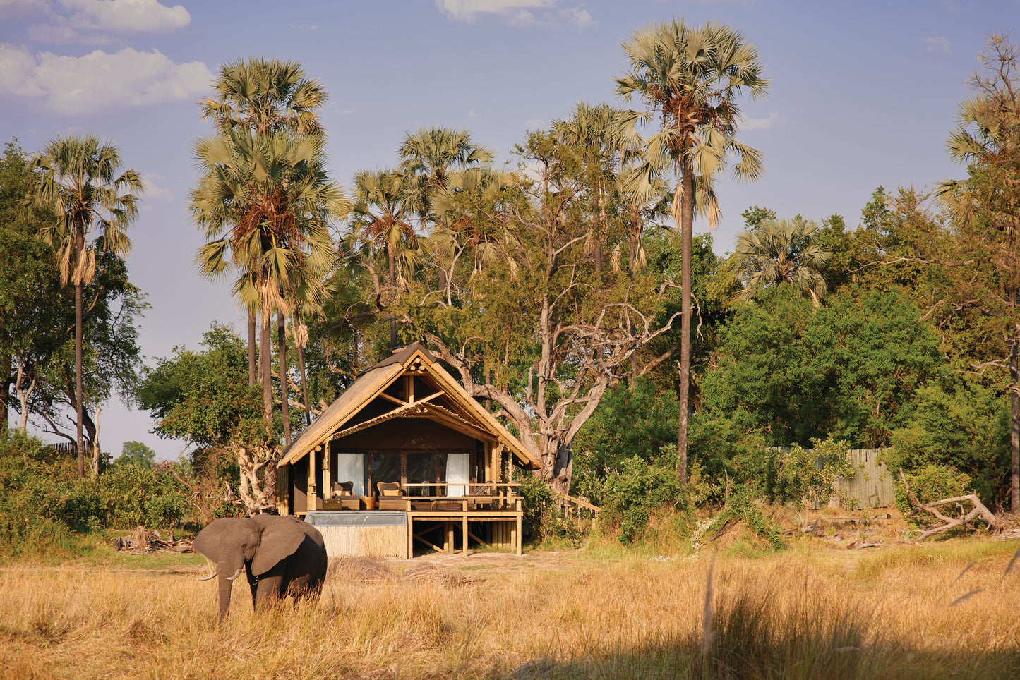 BELMOND SAFARIS | 8 NGÀY KHÁM PHÁ NAM PHI (CAPE TOWN) - SAFARI TẠI BOSTWANA | 3 LODGES