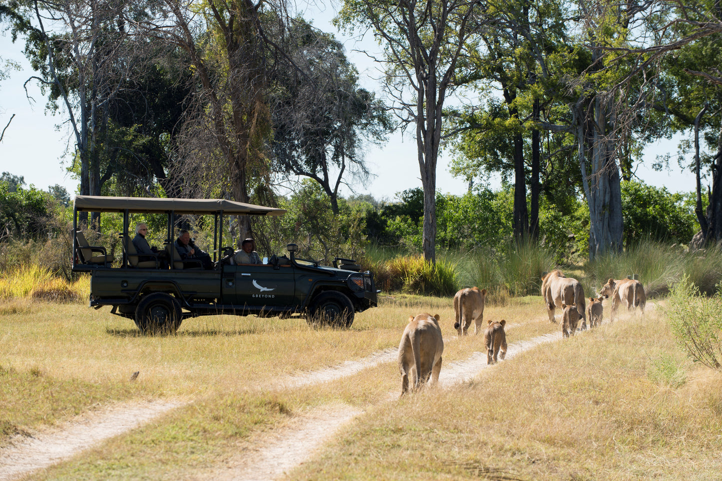 &BEYOND SAFARIS và CAPE TOWN | 8 NGÀY KHÁM PHÁ NAM PHI (CAPE TOWN) - SAFARI tại BOSTWANA | 2 LODGES