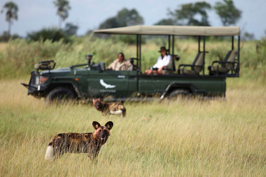 &BEYOND SAFARIS và CAPE TOWN | 8 NGÀY KHÁM PHÁ NAM PHI (CAPE TOWN) - SAFARI tại BOSTWANA | 2 LODGES