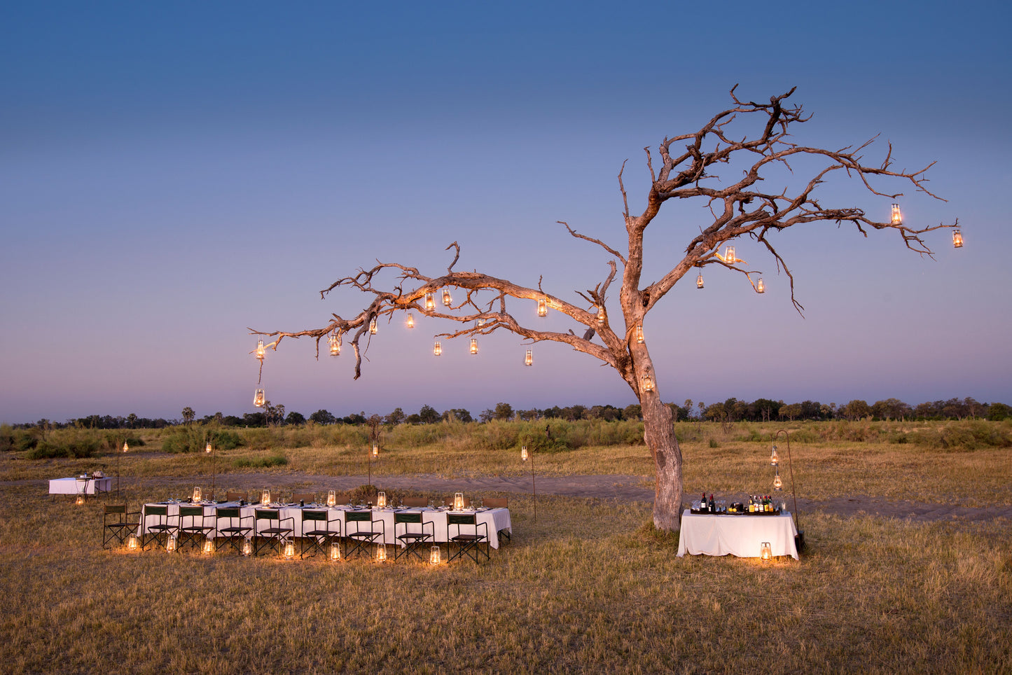 &BEYOND SAFARIS và CAPE TOWN | 8 NGÀY KHÁM PHÁ NAM PHI (CAPE TOWN) - SAFARI tại BOSTWANA | 2 LODGES