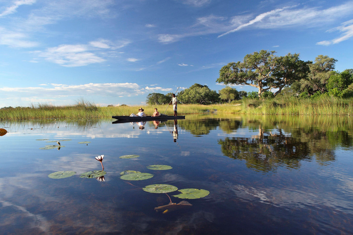&BEYOND SAFARIS và CAPE TOWN | 8 NGÀY KHÁM PHÁ NAM PHI (CAPE TOWN) - SAFARI tại BOSTWANA | 2 LODGES
