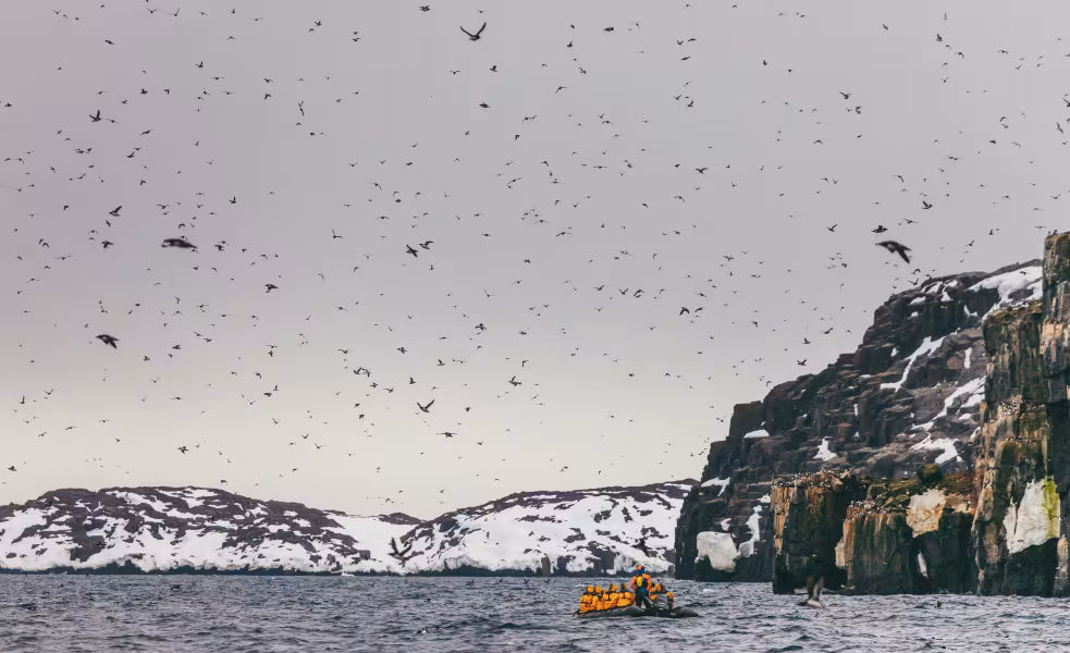 DU THUYỀN QUARK EXPEDITIONS - SVALBARD - HÀNH TRÌNH KHÁM PHÁ ĐỈNH CAO VÙNG BĂNG CỰC TỪ THÁNG 5 - 2026