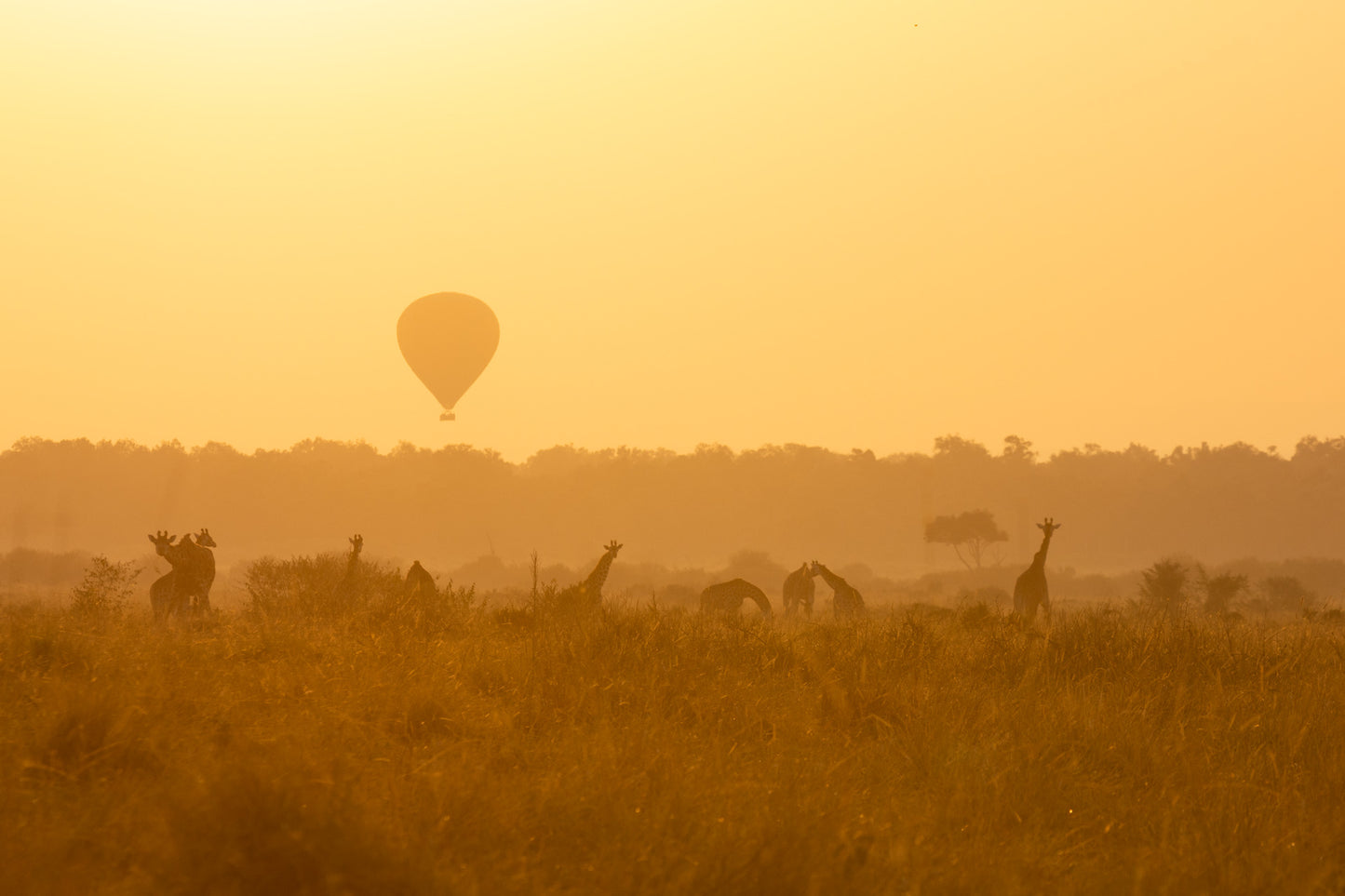 ANGAMA LUXURY SAFARI | 8 NGÀY KHÁM PHÁ KENYA | 2-3 LODGES & 1 HOTEL