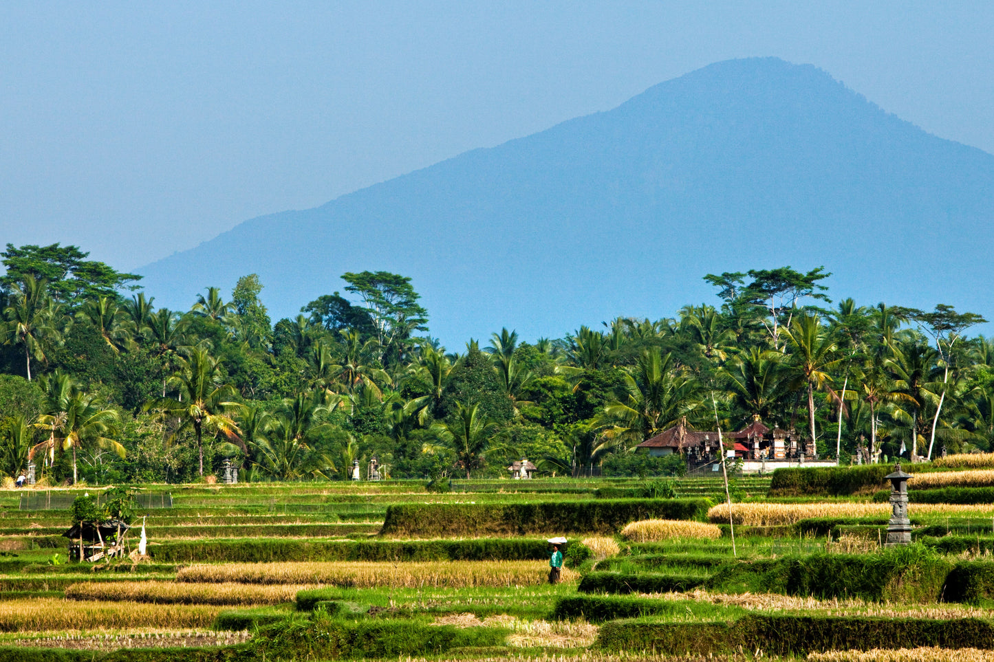 COMO UMA UBUD BALI | EXCLUSIVE OFFERS