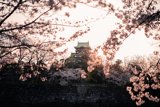 5 DAY SPRING JOURNEY IN HOKKAIDO ( 01 May - 05 May)