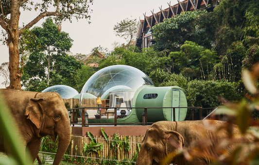 5-DAY JOURNEY IN BANGKOK & ANANTARA GOLDEN TRIANGLE ELEPHANT CAMP & RESORT