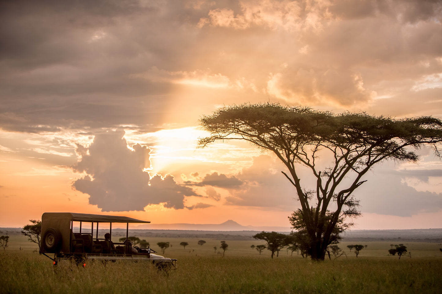 SINGITA SAFARI | 10 NGÀY KHÁM PHÁ ĐÔNG PHI NAM TANZANIA và RWANADA | 3-4 LODGES & 1 HOTEL