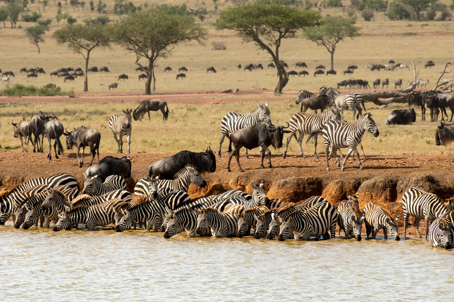 SINGITA SAFARI | 10 NGÀY KHÁM PHÁ ĐÔNG PHI NAM TANZANIA và RWANADA | 3-4 LODGES & 1 HOTEL