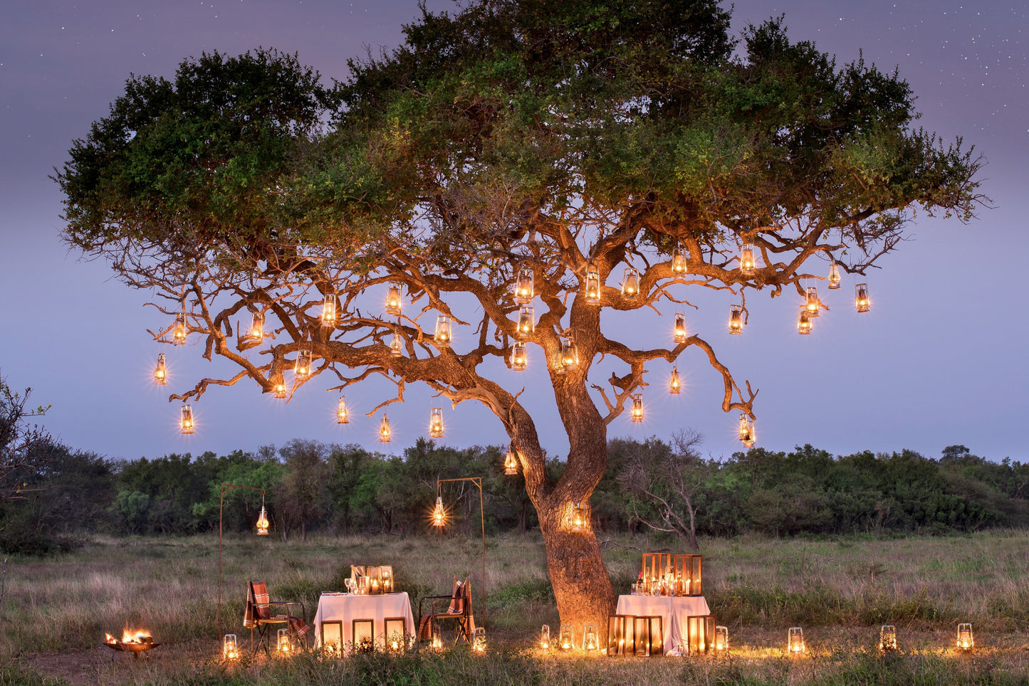 &BEYOND SAFARIS và CAPE TOWN | 8 NGÀY KHÁM PHÁ NAM PHI (CAPE TOWN) - SAFARI tại NAM PHI | 2 LODGES