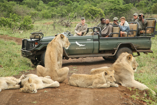 &BEYOND SAFARIS và CAPE TOWN | 8 NGÀY KHÁM PHÁ NAM PHI (CAPE TOWN) - SAFARI tại NAM PHI | 2 LODGES