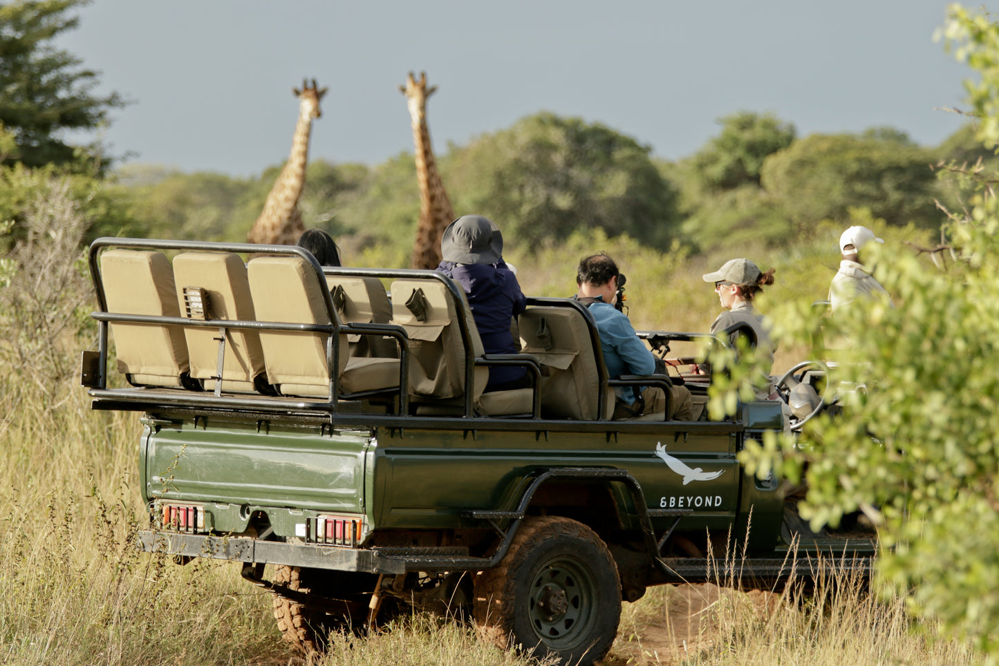 &BEYOND SAFARIS và CAPE TOWN | 8 NGÀY KHÁM PHÁ NAM PHI (CAPE TOWN) - SAFARI tại NAM PHI | 2 LODGES