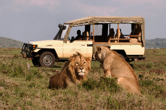 FAIRMONT KENYA | 8 NGÀY TRẢI NGHIỆM HÀNH TRÌNH SAFARI HOÀNH TRÁNG | 3 LODGES