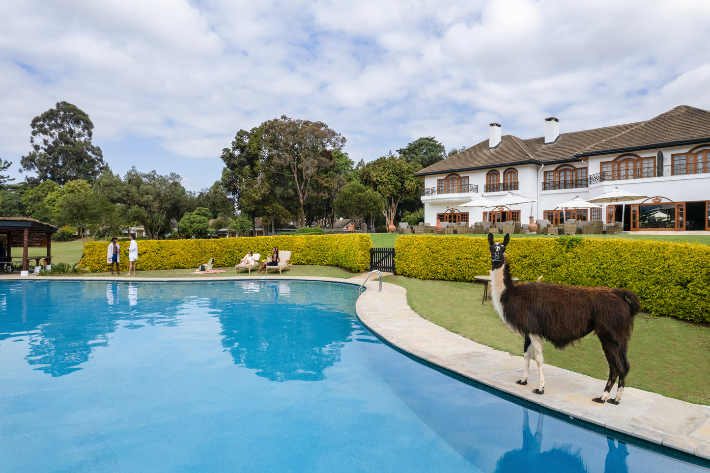 FAIRMONT KENYA | 8 NGÀY TRẢI NGHIỆM HÀNH TRÌNH SAFARI HOÀNH TRÁNG | 3 LODGES