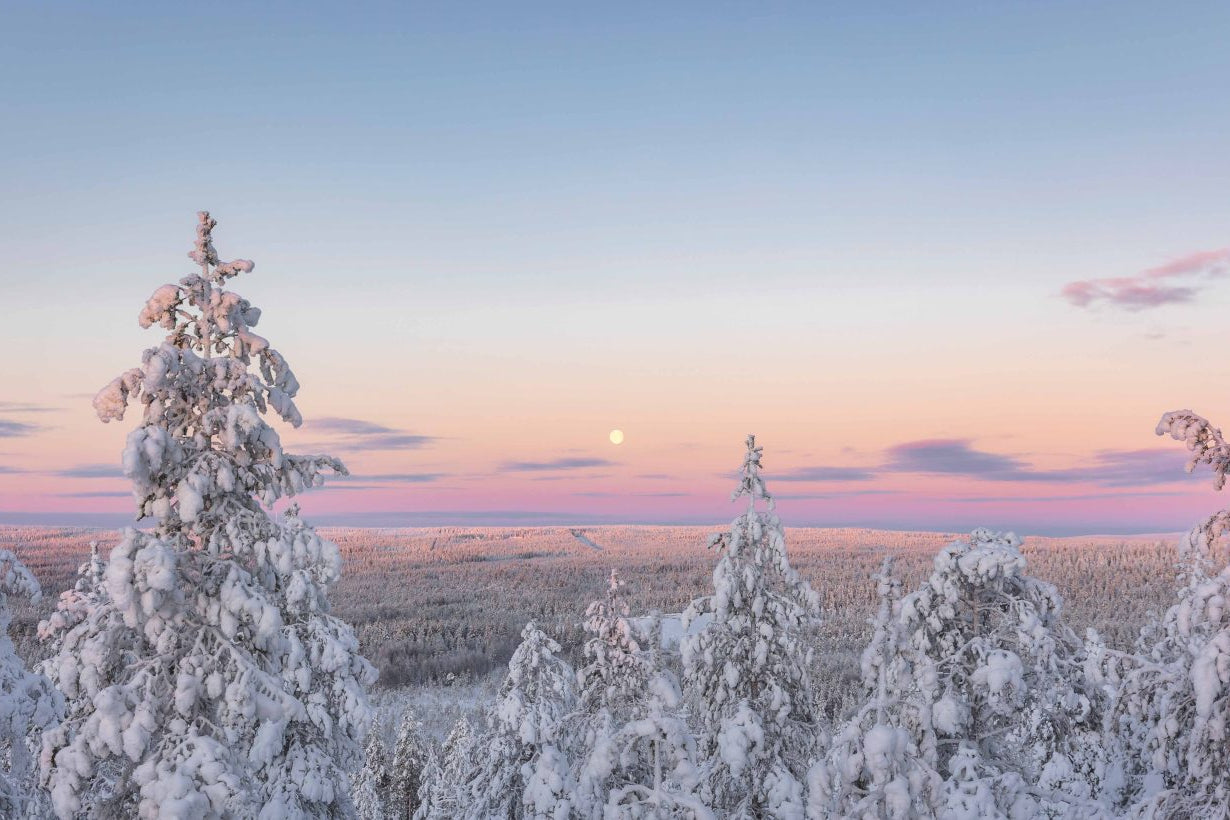 HÀNH TRÌNH 5 NGÀY KHÁM PHÁ LÀNG ÔNG GIÀ NOEL TẠI ROVANIEMI, LAPLAND PHẦN LAN