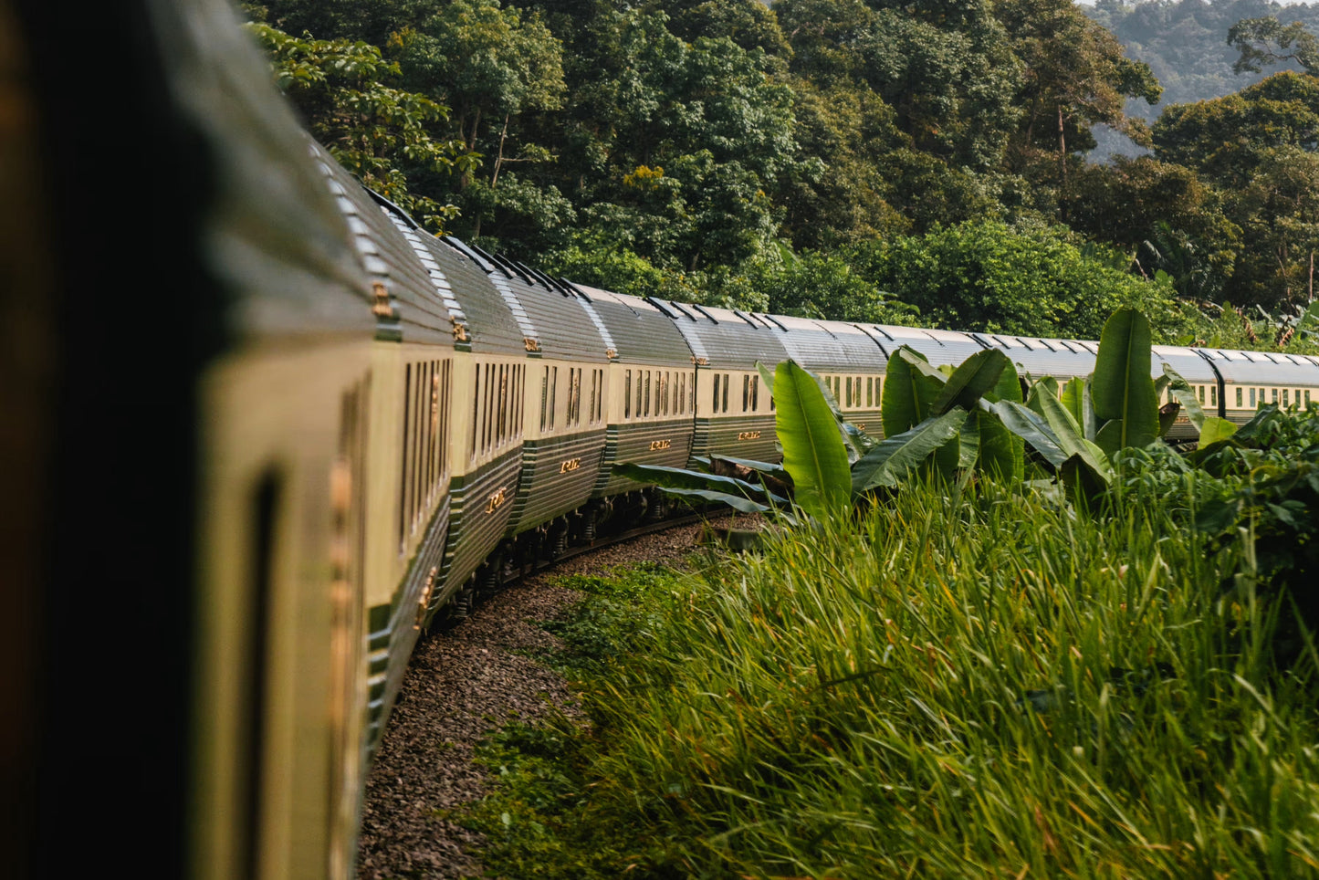 EASTERN & ORIENTAL EXPRESS, A BELMOND TRAIN - WILD MALAYSIA