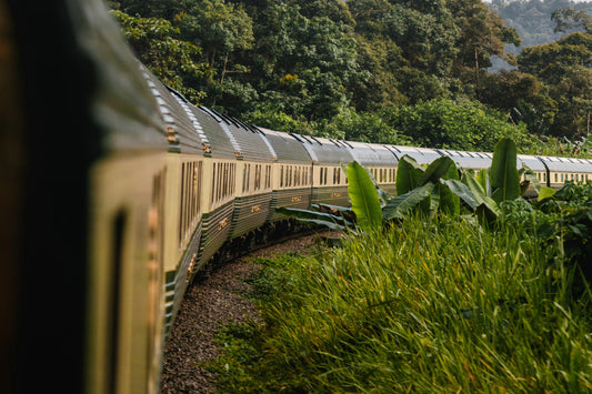 EASTERN & ORIENTAL EXPRESS, A BELMOND TRAIN - WILD MALAYSIA