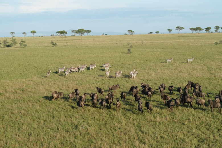 SINGITA SAFARI | 10 NGÀY KHÁM PHÁ ĐÔNG PHI NAM TANZANIA và RWANADA | 3-4 LODGES & 1 HOTEL
