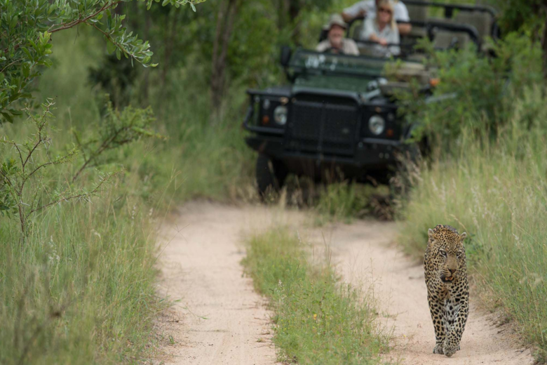 SINGITA SAFARI | 9 NGÀY KHÁM PHÁ NAM PHI và ZIMBABWE | 3 LODGES & 1 HOTEL