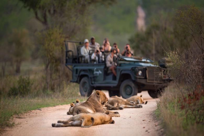 SINGITA SAFARI | 9 NGÀY KHÁM PHÁ NAM PHI và ZIMBABWE | 3 LODGES & 1 HOTEL