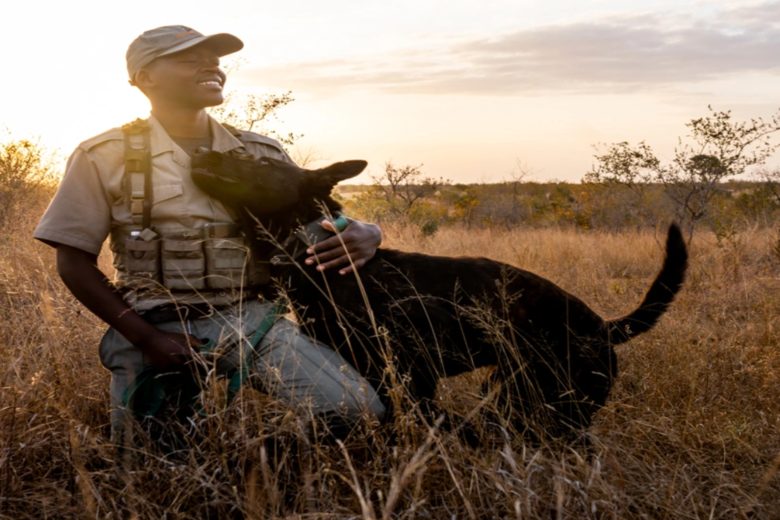 SINGITA SAFARI | 9 NGÀY KHÁM PHÁ NAM PHI và ZIMBABWE | 3 LODGES & 1 HOTEL