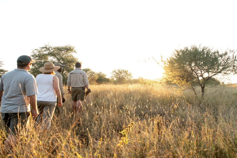 SINGITA SAFARI | 9 NGÀY KHÁM PHÁ NAM PHI và ZIMBABWE | 3 LODGES & 1 HOTEL