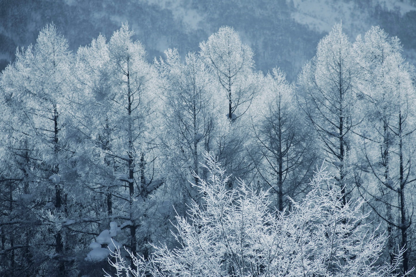 Park Hyatt Niseko Hanazono