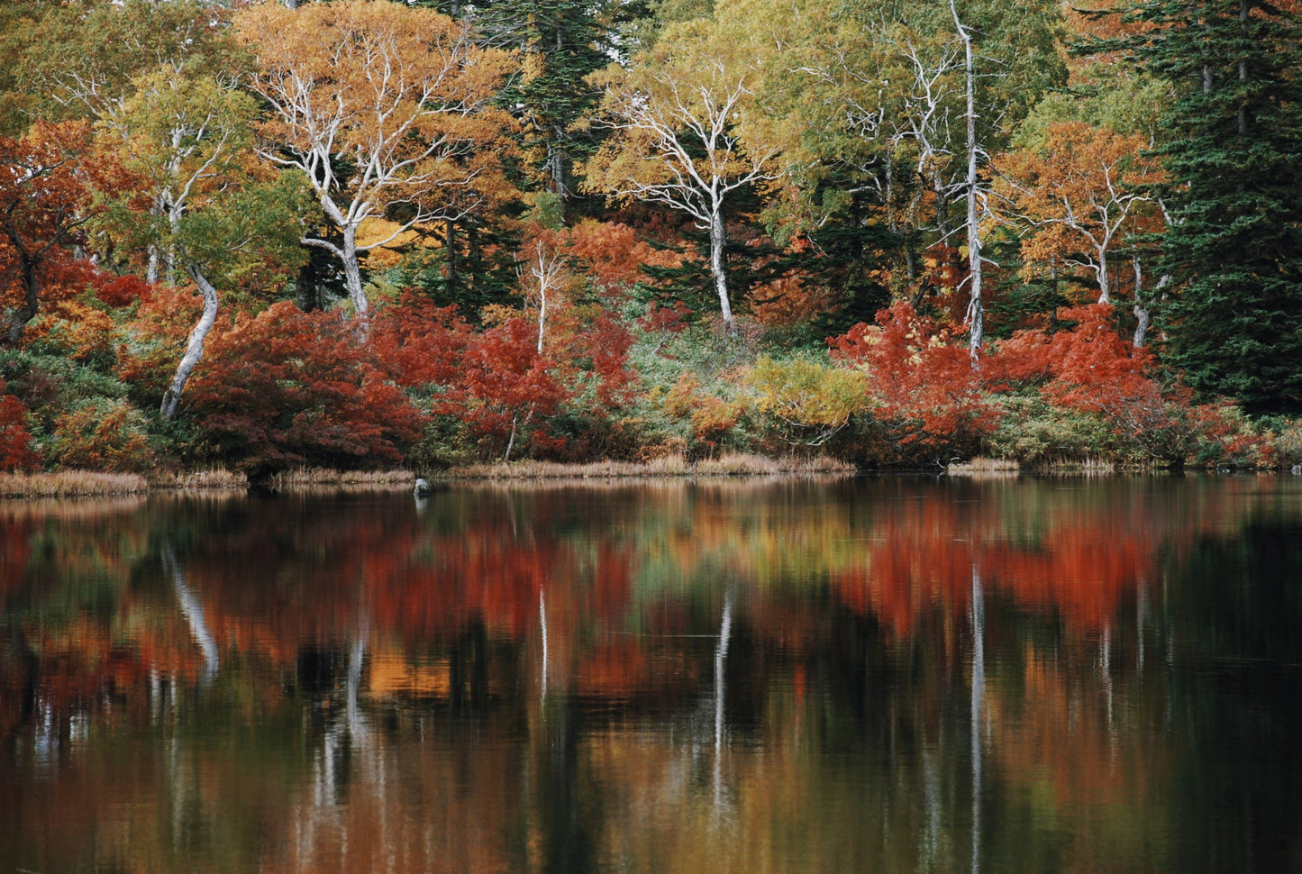 Higashiyama Niseko Village, A Ritz-Carlton Reserve