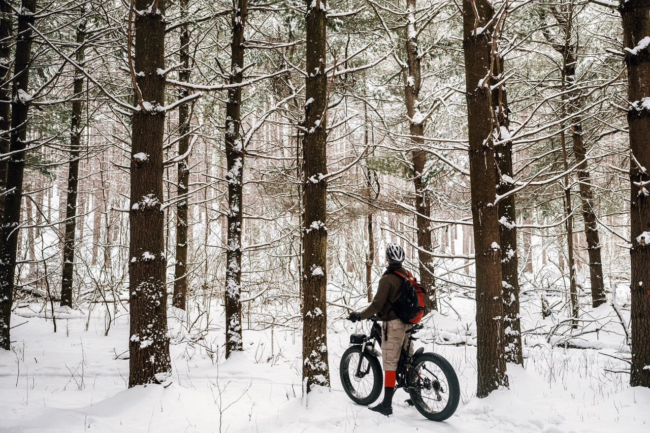 The Ritz-Carlton Nikko