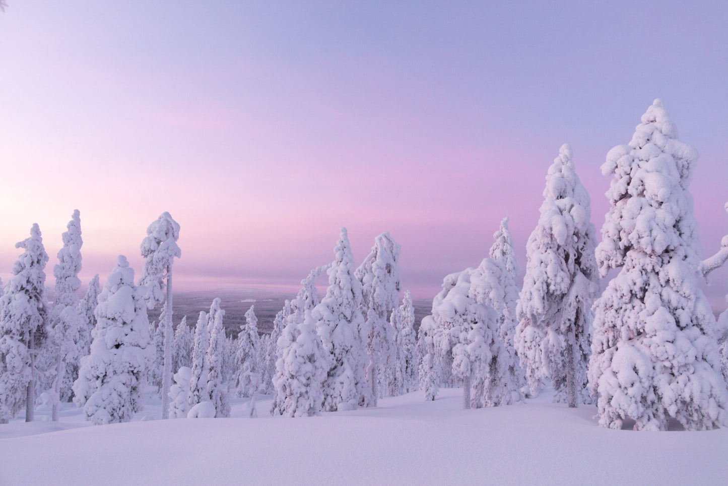 HÀNH TRÌNH 5 NGÀY KHÁM PHÁ LÀNG ÔNG GIÀ NOEL TẠI ROVANIEMI, LAPLAND PHẦN LAN