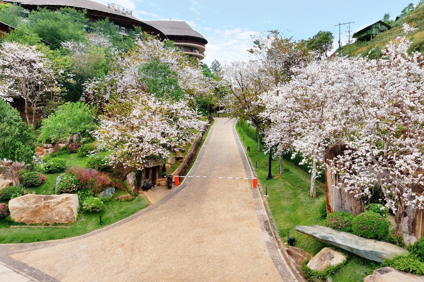 GARRYA MÙ CANG CHẢI