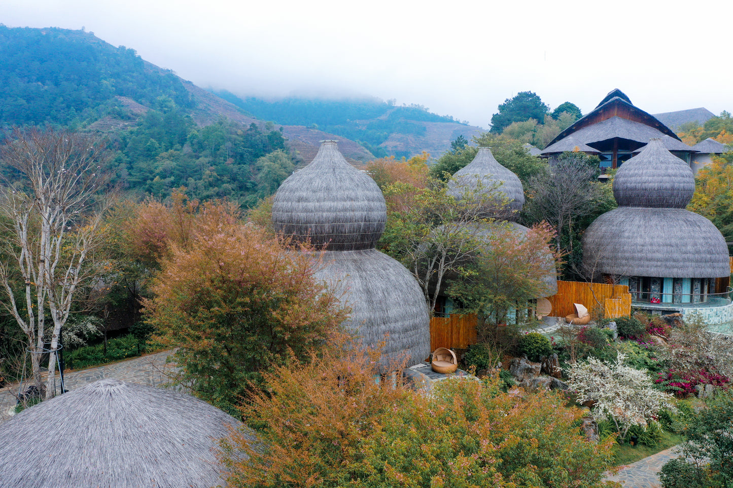 GARRYA MÙ CANG CHẢI