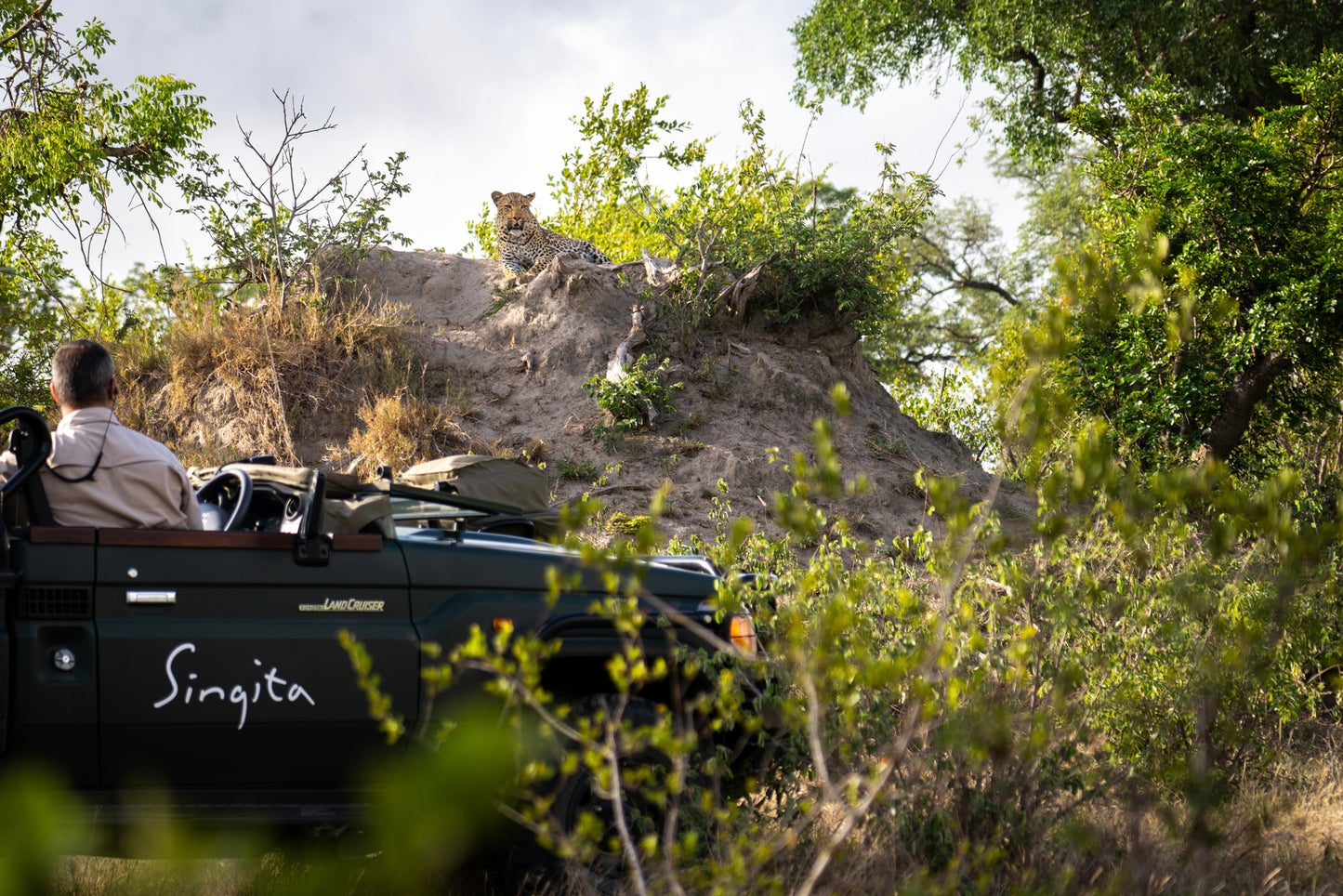 SOUTH AFRICA | HÀNH TRÌNH 7 NGÀY NGHỈ DƯỠNG VÀ KHÁM PHÁ TẠI BELMOND & SAFARI SINGITA