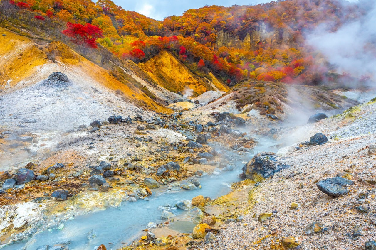 HÀNH TRÌNH 5 NGÀY MÙA XUÂN TẠI HOKKAIDO (01/05 – 05/05)