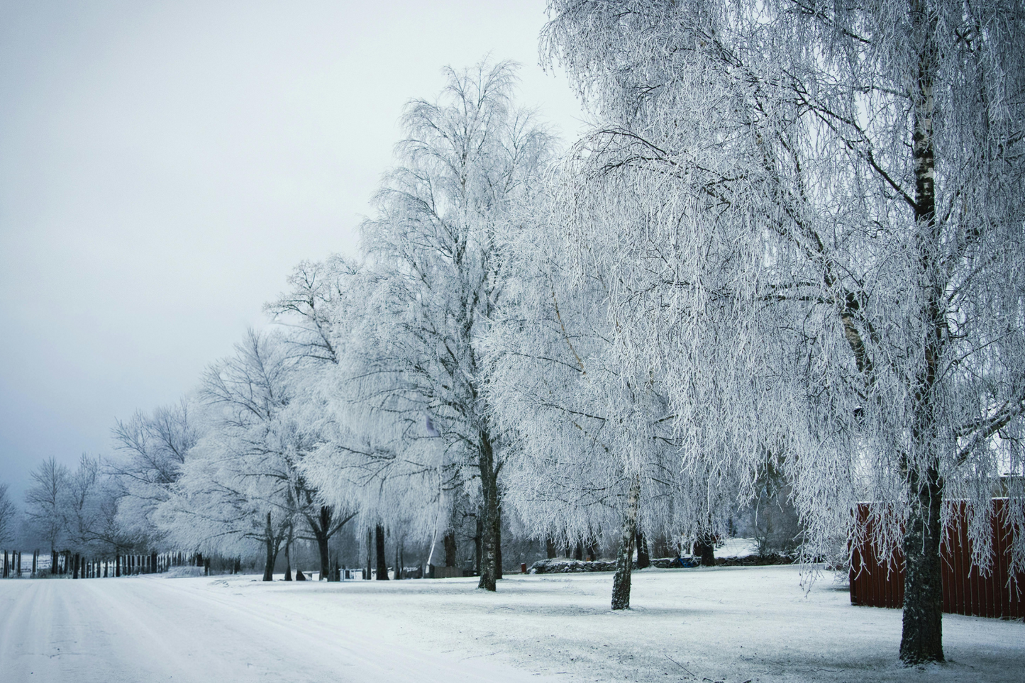 HÀNH TRÌNH 4 NGÀY KHÁM PHÁ NGA, MÙA ĐÔNG | ST. PETERSBURG