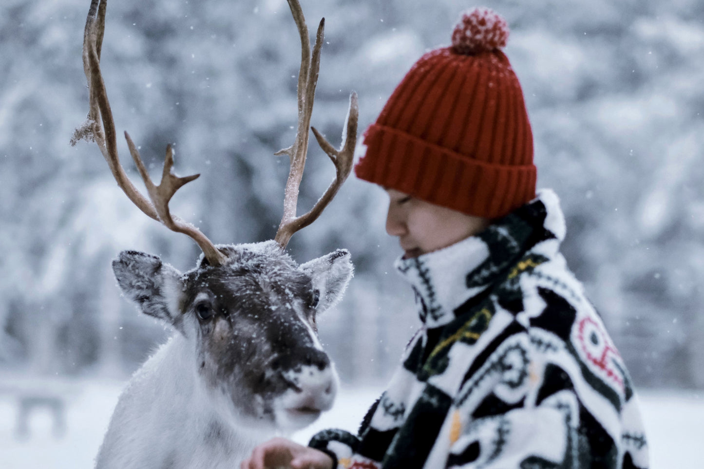 HÀNH TRÌNH 5 NGÀY KHÁM PHÁ LÀNG ÔNG GIÀ NOEL TẠI ROVANIEMI, LAPLAND PHẦN LAN