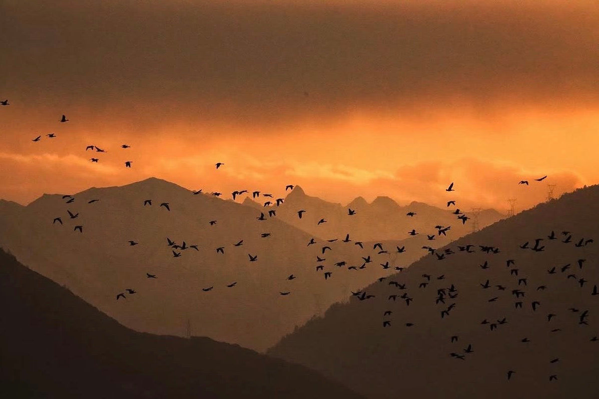 8-DAY JOURNEY EXPLORING WESTERN TIBET