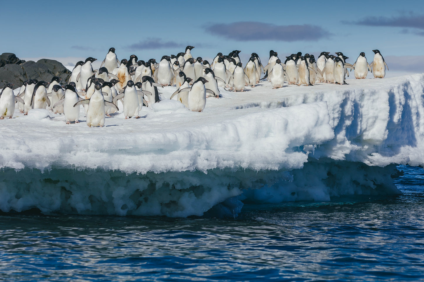 HÀNH TRÌNH KHÁM PHÁ NAM CỰC ANTARTIC EXPRESS: FLY SOUTH, SAIL NORTH - OCEAN EXPLORER, WORLD VOYAGER