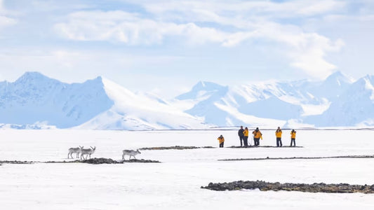 DU THUYỀN QUARK EXPEDITIONS - SVALBARD - HÀNH TRÌNH KHÁM PHÁ ĐỈNH CAO VÙNG BĂNG CỰC TỪ THÁNG 5 - 2026