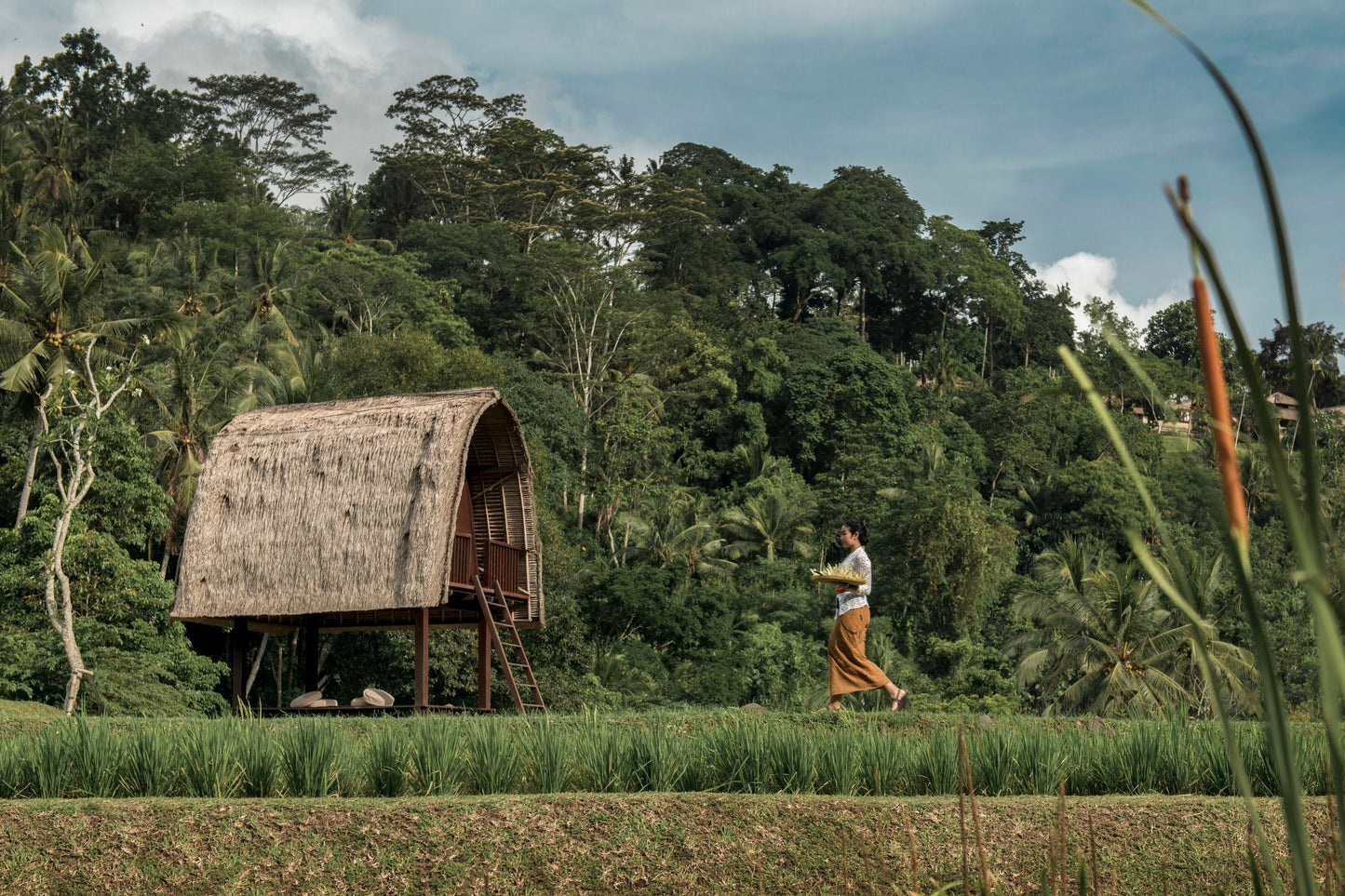 MANDAPA, A RITZ-CARLTON RESERVE, BALI | KHUYẾN MÃI ĐỘC QUYỀN MARRIOTT STARS 'Ở 3 TRẢ 2", TẶNG USD 100 HOTEL CREDIT