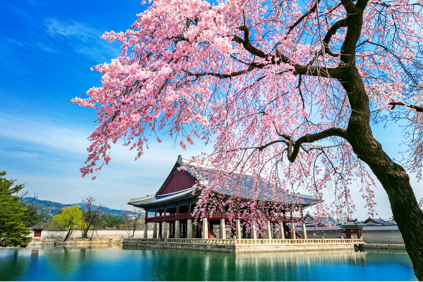 7-DAY / 6-NIGHT JOURNEY TO DISCOVER SEOUL & JEJU