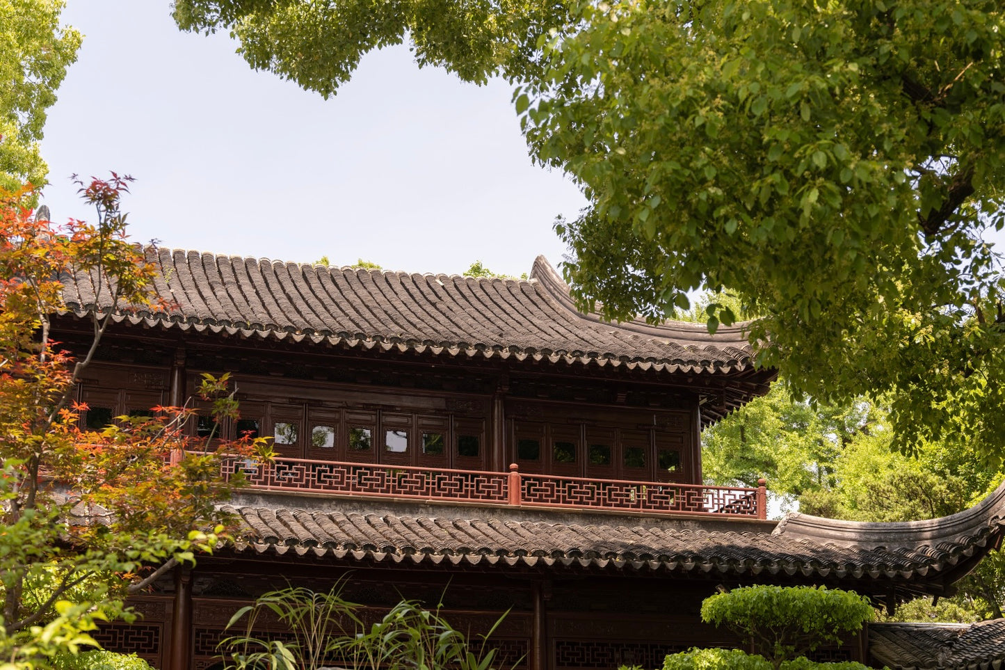 AMAN TRUNG HOA | HÀNH TRÌNH 5 NGÀY KHÁM PHÁ THƯỢNG HẢI, HÀNG CHÂU