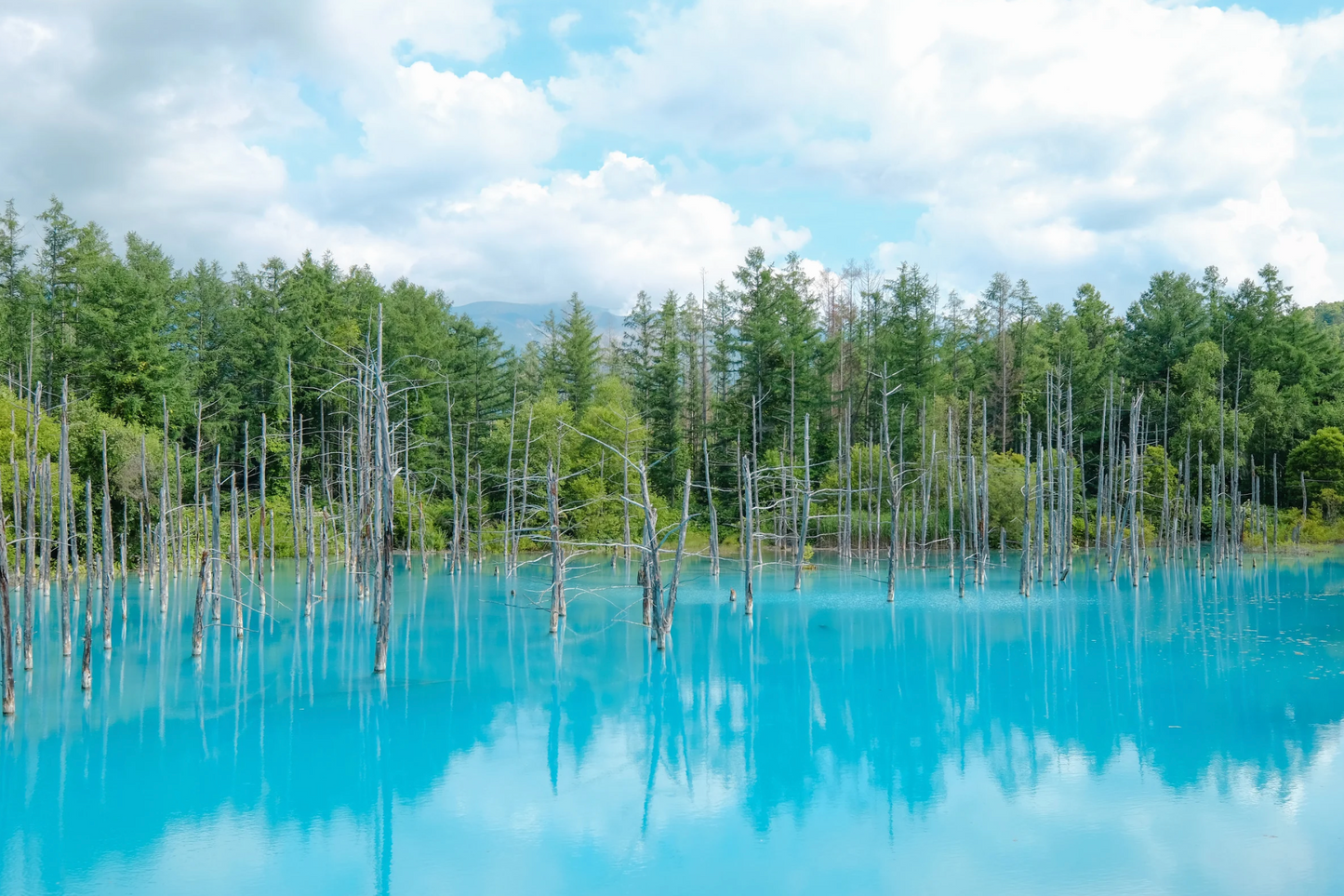 HÀNH TRÌNH 7 NGÀY MÙA XUÂN TẠI PHÍA ĐÔNG HOKKAIDO (09/05 – 26/05)