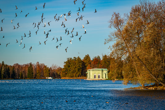 7-DAY, 6-NIGHT JOURNEY TO DISCOVER RUSSIA IN AUTUMN | MOSCOW & ST. PETERSBURG